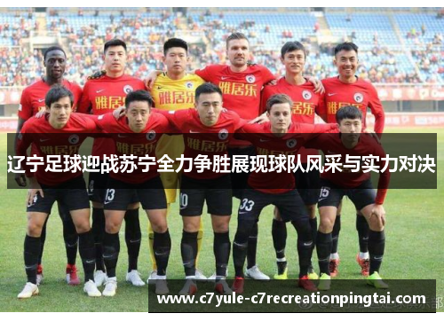 辽宁足球迎战苏宁全力争胜展现球队风采与实力对决